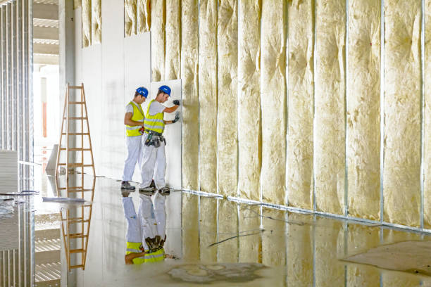 Best Residential Insulation in Grifton, NC